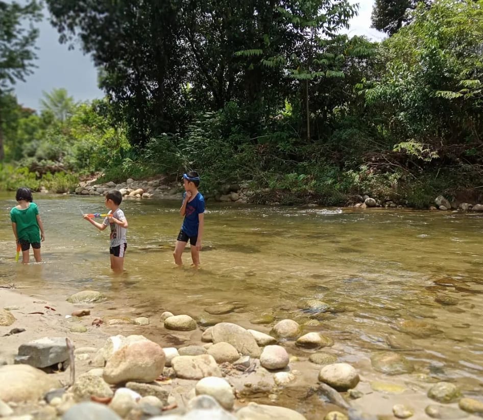 hutan sungai sedim kedah