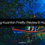 kampung kuantan firefly