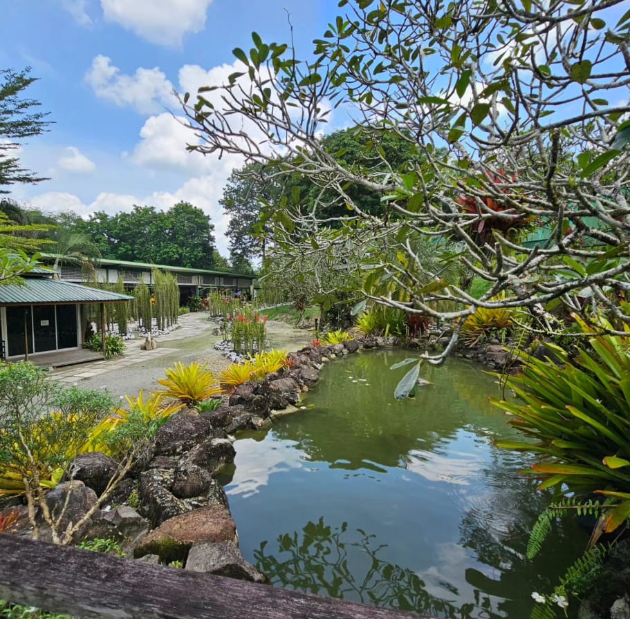 kemudahan taman orchid