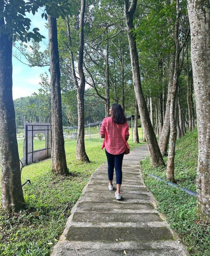 laluan hoga gaharu tea valley