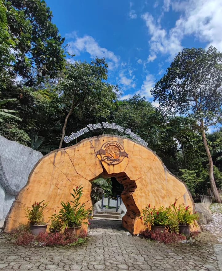 lokasi hoga gaharu tea valley perak