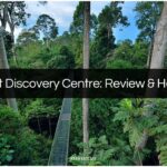 rainforest discovery centre