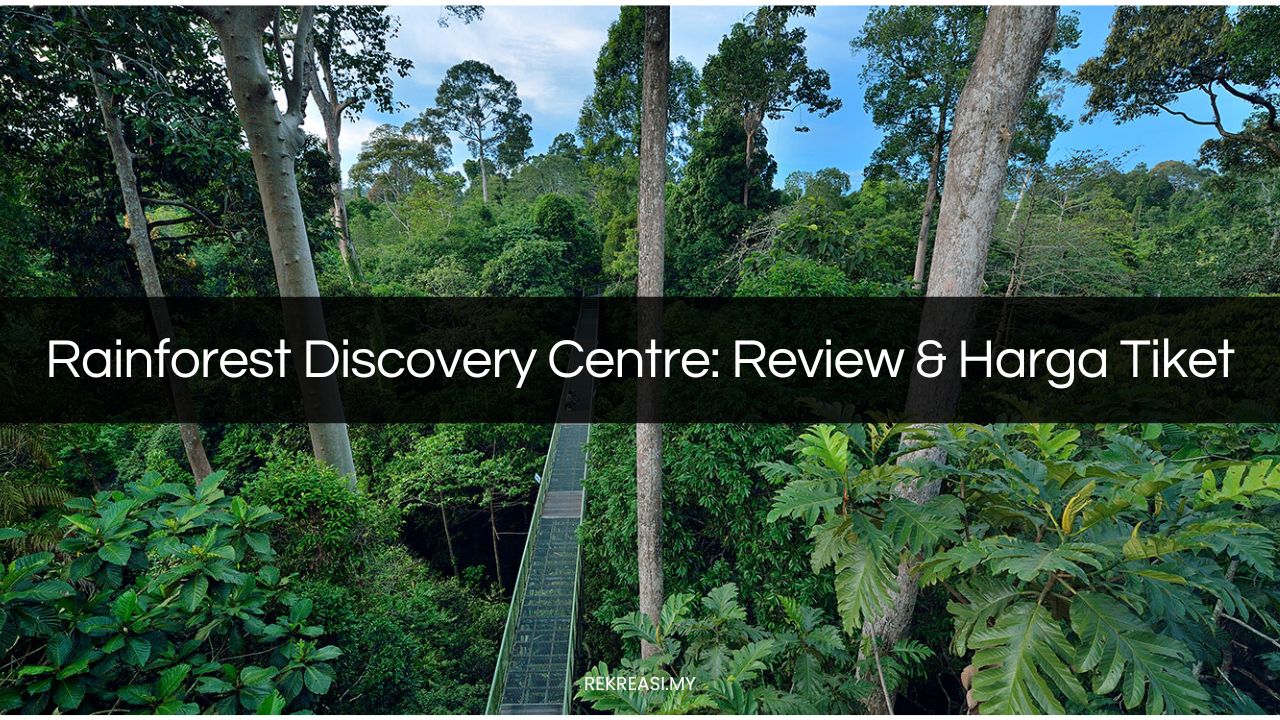 rainforest discovery centre