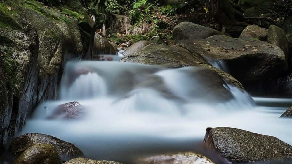 tarikan hutan lipur sungai tua