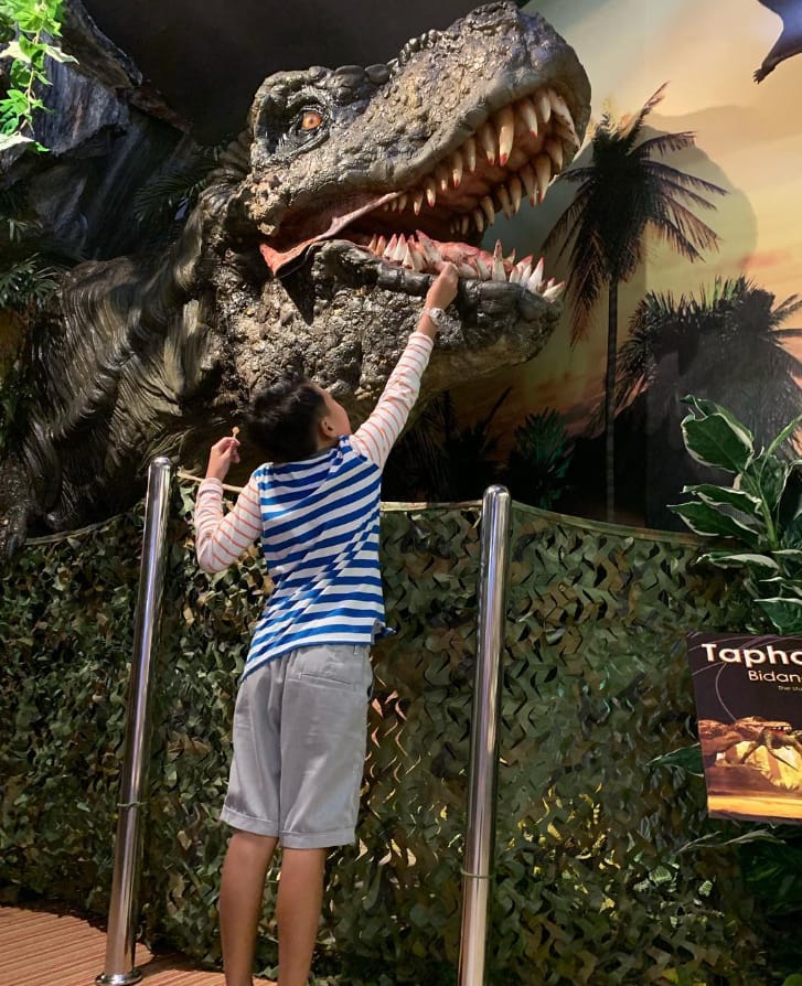 tarikan muzium geologi