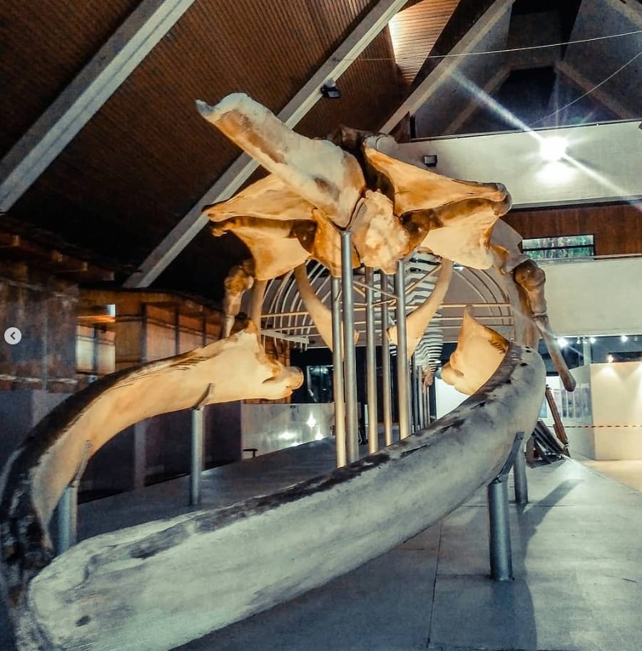 tarikan muzium sabah