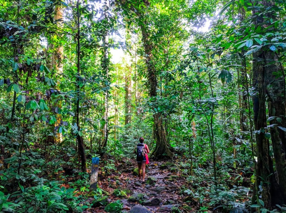 tarikan taman negara kubah