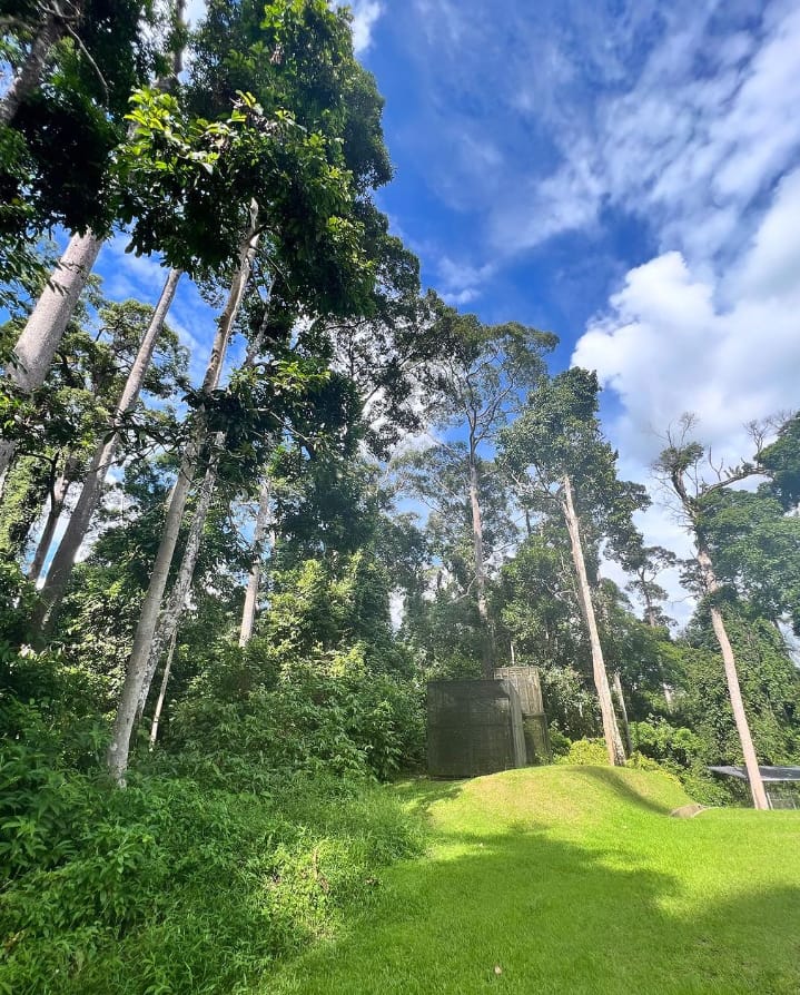 waktu operasi rainforest discovery centre