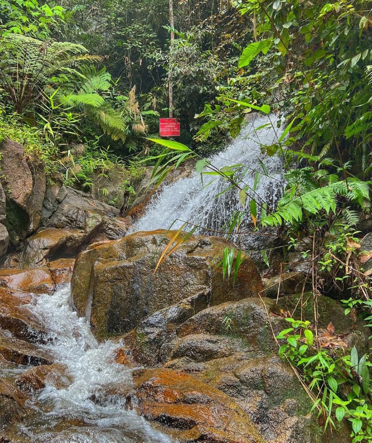 lata beringin selangor malaysia