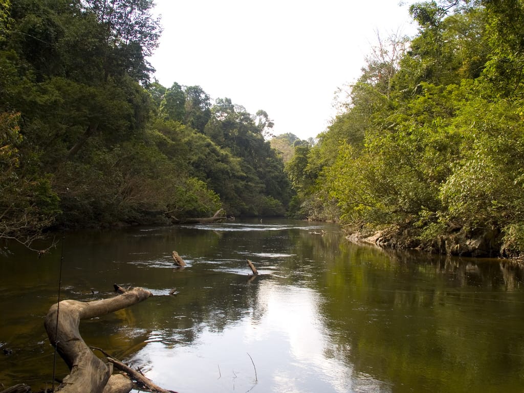 taman negara kelantan malaysia
