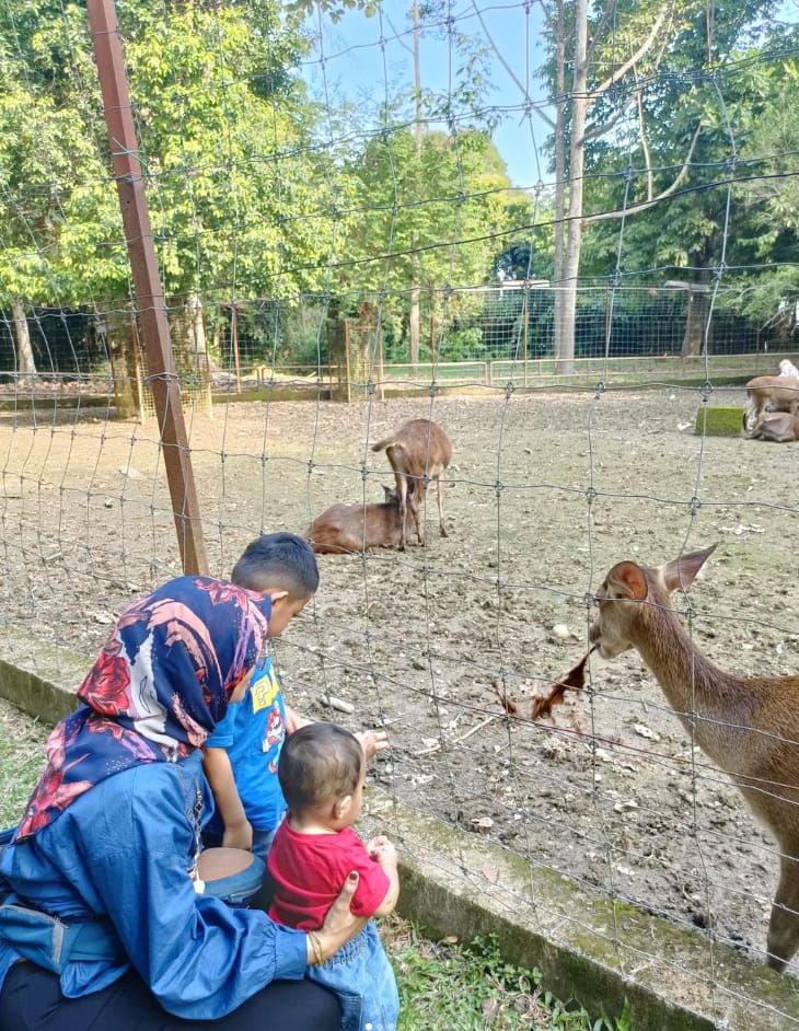 taman perbandaran tengku anis kelantan