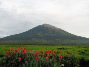 √ Gunung Kerinci: Pendakian Tertinggi di Sumatera, Jalur, Tiket, dan Tips Mendaki Lengkap