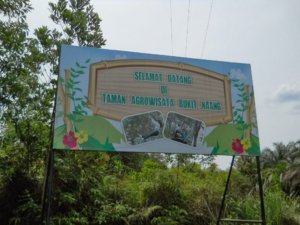 √ Bukit Naang Waterpark & Resort – Bangkinang: Liburan Seru di Tengah Alam yang Asri, Review & Info