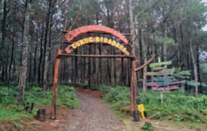 √ CURUG BIDADARI SENTUL : SURGA TERSEMBUNYI DI KAKI GUNUNG PANCAR, Info & Harga Tiket