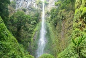 √ Air Terjun Pancuran Rayo Jambi: Keindahan Alam Tersembunyi di TNKS, Tiket Masuk, Rute & Tips Wisata