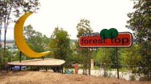 √ Batam Forest Top: Sensasi Wisata Alam Menantang di Atas Pohon di Kota Batam, Review & Info