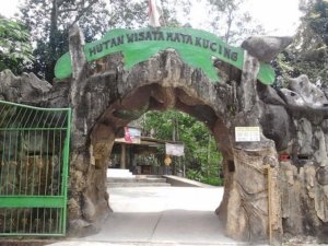 √ Hutan Wisata Mata Kucing – Surga Hijau, Satwa Unik, dan Petualangan Seru di Batam, Review & Info