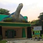 √  PANTAI PANGUMBAHAN SUKABUMI : Surga Penyu di Ujung Selatan Jawa, Review & Info