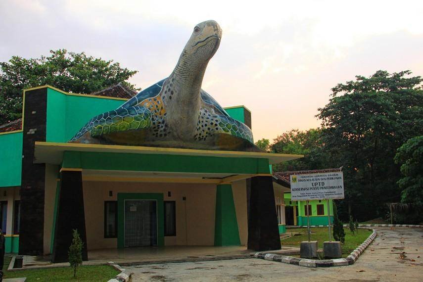 √  PANTAI PANGUMBAHAN SUKABUMI : Surga Penyu di Ujung Selatan Jawa, Review & Info