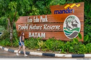 √ Panbil Nature Reserve – Oase Hijau di Tengah Hiruk Pikuk Batam, Review & Info