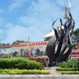√ WISATA KEBUN BINATANG SURABAYA (BONBIN) : Cerita Seru, Koleksi Satwa, dan Info Lengkap Liburan Seru di Tengah Kota, Review & Info