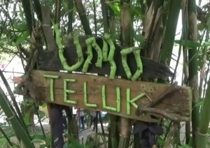 √ Umo Teluk: Wisata Alam dan Budaya Tersembunyi di Jambi, Tiket Masuk, Daya Tarik & Tips Lengkap