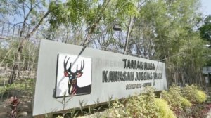 √ Taman Rusa Sekupang – Wisata Hijau, Edukatif, dan Ramah Keluarga di Batam, Review & Info