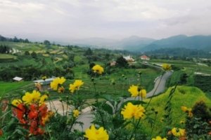 √ Desa Pariangan – Tanah Leluhur Minangkabau yang Sarat Pesona, Review & Info