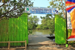 √ EKOWISATA MANGROVE WONOREJO : Petualangan Seru Menjelajah Alam Hijau di Surabaya, Review & Info