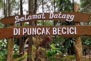 √ WISATA PUNCAK BECICI JOGJA : Antara Rindangnya Pinus dan Indahnya Senja, Review & Info