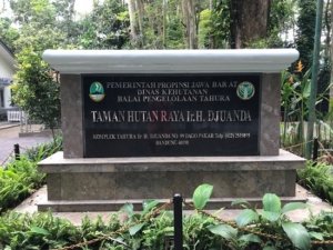√ TAMAN HUTAN RAYA Ir. H. Djuanda: Menyusuri Hutan Sejuk Bersejarah di Jantung Bandung