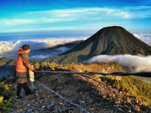 √ TAMAN NASIONAL GUNUNG GEDE PANGRANGO : Surga Tersimpan di Jawa Barat, Review & Info Tiket