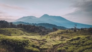 √ GUNUNG KENCANA : Permata Alam di Puncak Bogor, Review & info Tiket