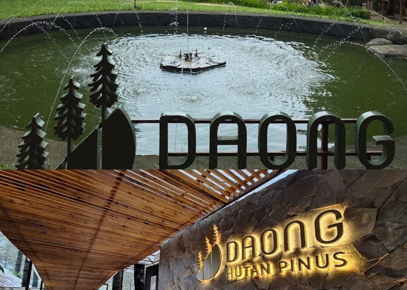 √ Kopi Daong Rindang – Ngopi Tenang di Tengah Alam Asri Bogor