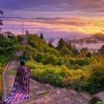 √ PANGO-PANGO TANA TORAJA : Surga Alam di Atas Awan untuk Liburan Tak Terlupakan