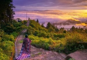 √ PANGO-PANGO TANA TORAJA : Surga Alam di Atas Awan untuk Liburan Tak Terlupakan