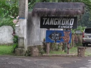 √ TANGKOKO NATIONAL PARK : Petualangan Tak Terlupakan di Alam Liar Sulawesi Utara