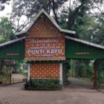 √Taman Wisata Punti Kayu: Hutan Pinus yang Menyegarkan di Tengah Kota Palembang