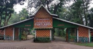 √Taman Wisata Punti Kayu: Hutan Pinus yang Menyegarkan di Tengah Kota Palembang