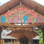 √ Palembang Bird Park: Petualangan Seru di Dunia Burung Eksotis