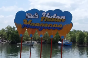 √ Pulau Baai & Hutan Mangrove: Menyelami Harmoni Alam dan Pelabuhan di Jantung Bengkulu