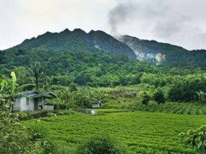 √ Gunung Patah: Menaklukkan Puncak Tertinggi di Bengkulu
