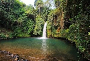 √ Air Terjun Sengkuang, Kepahiang: Keindahan Alam Tersembunyi di Pelosok Bengkulu