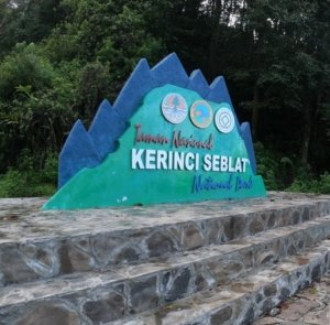 √ Taman Nasional Kerinci Seblat: Menyusuri Alam Liar Terbesar di Sumatera