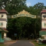 √ Wisata Taman Nasional Way Kambas: Surga Konservasi Gajah di Lampung