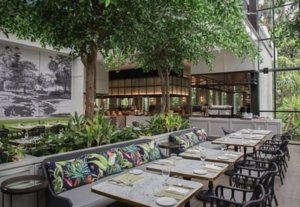 √ Magnolia – The Westin Surabaya : Restoran Mewah dengan Pengalaman Kuliner Tak Terlupakan