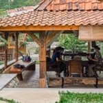√ Ngopi di Sawah Cijeruk Bogor : Tempat Nongkrong Asri dengan Panorama Alam Hijau