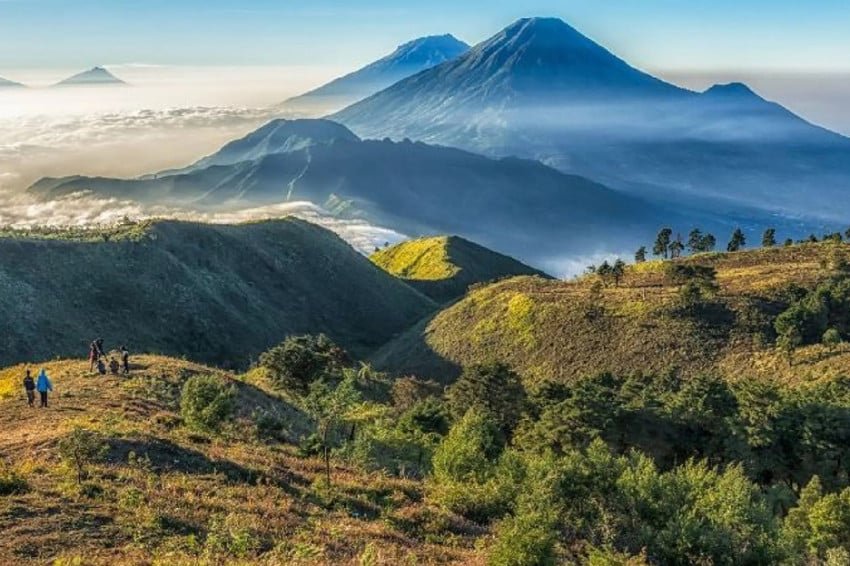 √ Gunung Wilis Trekking Kediri: Petualangan Alam di Pegunungan Jawa Timur Review & Info Tiket