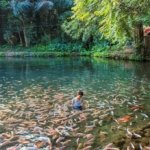 √ Mata Air Senjoyo: Sumber Alam Jernih di Kaki Gunung Merbabu