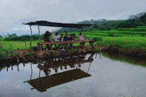 √ Agrowisata Lae Ikan: Harmoni Alam dan Edukasi di Subulussalam